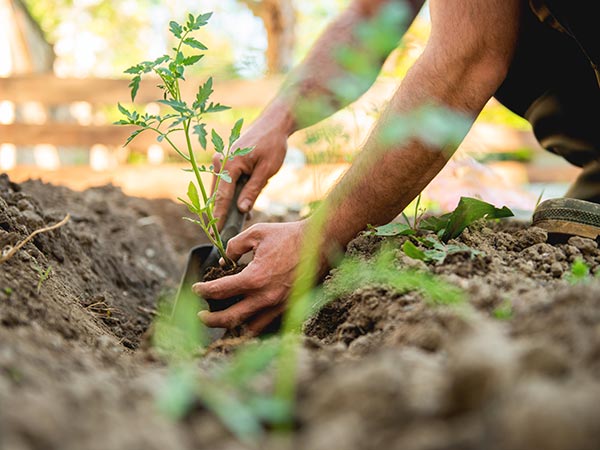 creazione-aree-verdi-private-aziendali-e-condominiali-bologna